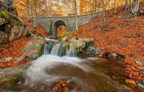 Autumn, forest, branches, bridge, stones, waterfall, stream, arch
