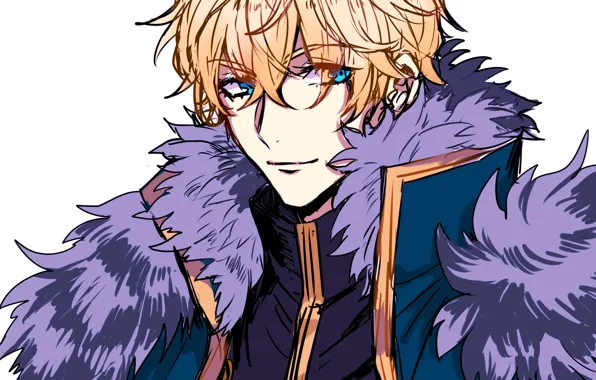 Art, fur, guy, Saber, Fate / Grand Order, Gawain