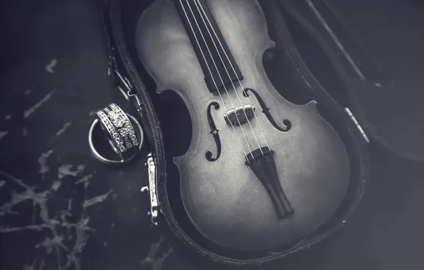 Macro, violin, case