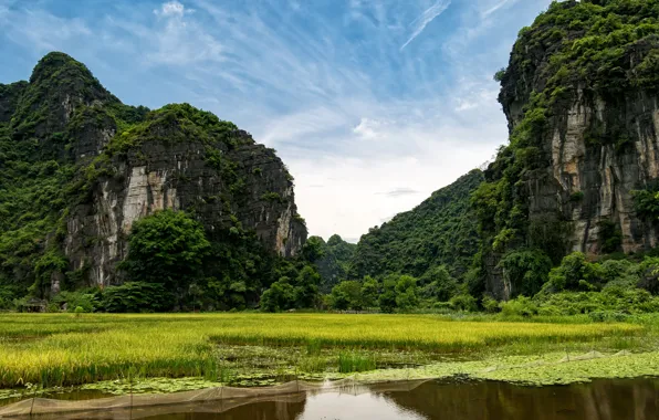 Picture greens, river, rocks, Vietnam, Ninh Binh