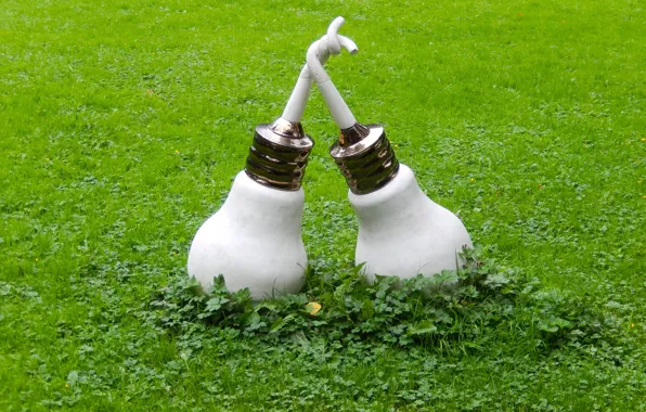 Grass, widescreen, Wallpaper, wallpaper, light bulb, widescreen, background, the Wallpapers