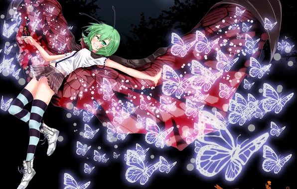 Girl, butterfly, night, wings, a month, art, touhou, wriggle nightbug