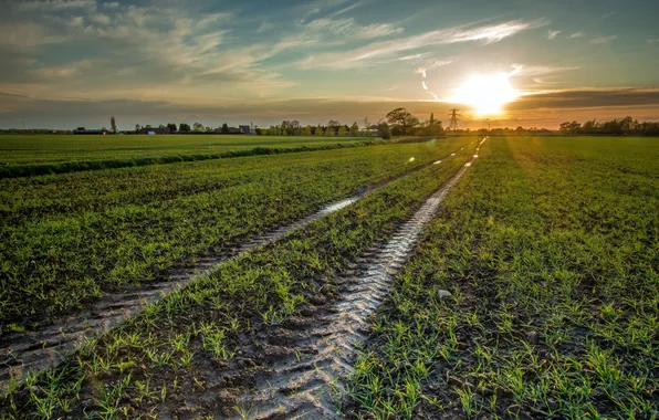 Field, landscape, sunset, trail