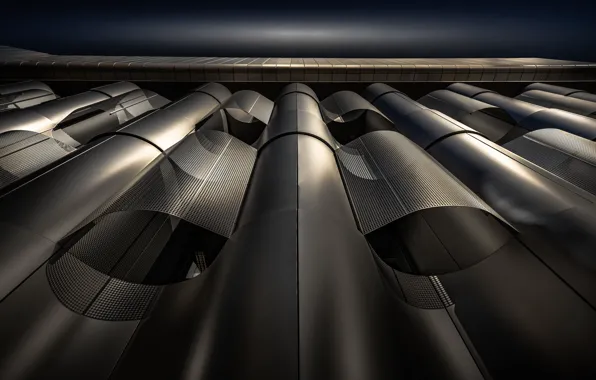 Picture form, Bristol University, School of Biological Sciences