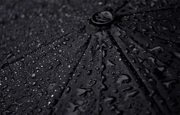 Picture wallpaper, Rain, Umbrella, picture, Macro, Drops