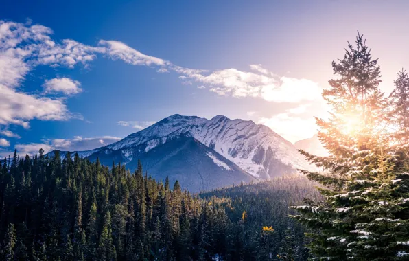 Picture the sky, landscape, mountains