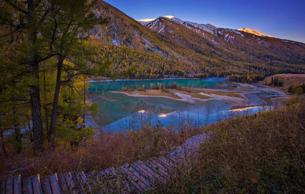 Picture lake, trees, autumn, mountains