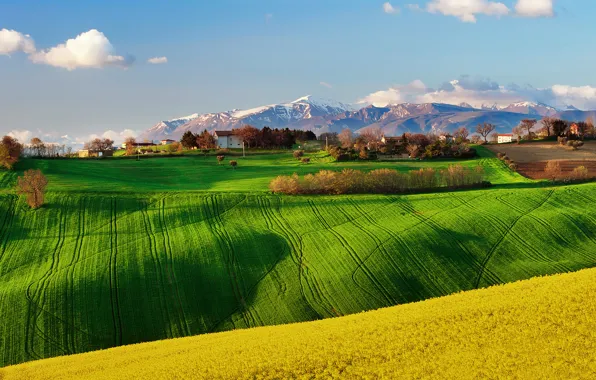 The sky, field, spring, Italy, April, rape