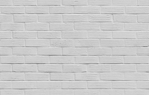 Background, brick, texture, brick wall, potion