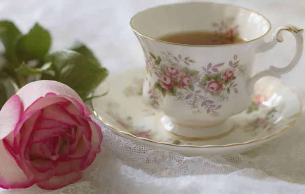 Flower, tea, rose, petals, Bud, Cup, still life, saucer