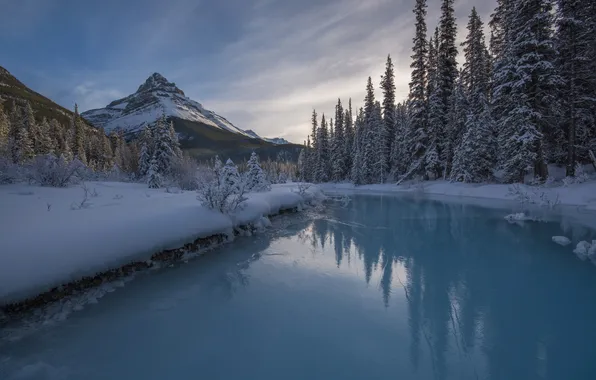 Picture ice, winter, forest, the sky, clouds, snow, trees, landscape