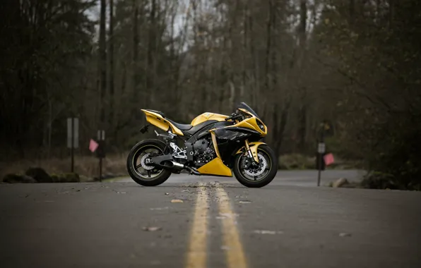 Yamaha, Yellow, YZF-R1