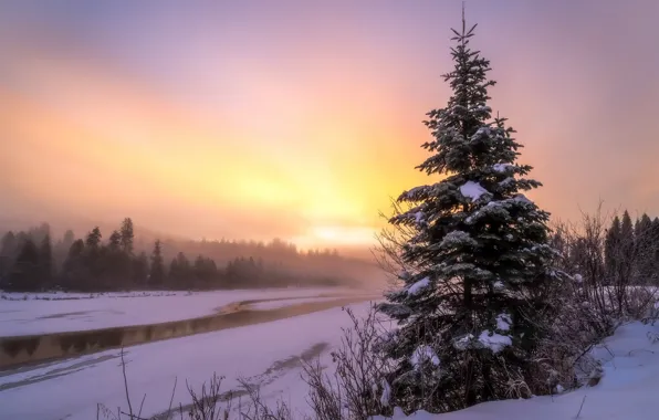 Winter, sunset, fog, river