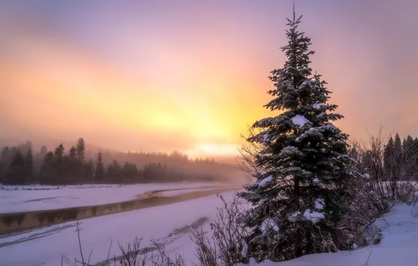 Picture winter, sunset, fog, river