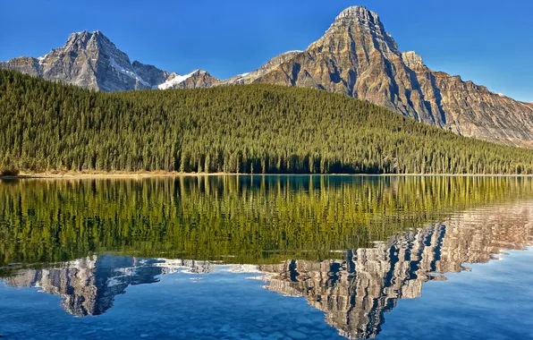 Forest, mountains, lake, reflection, Canada, Albert, Alberta, Canada