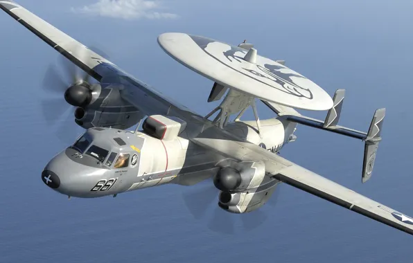 Download wallpaper the plane, Grumman, deck, Hawkeye, far, detection ...