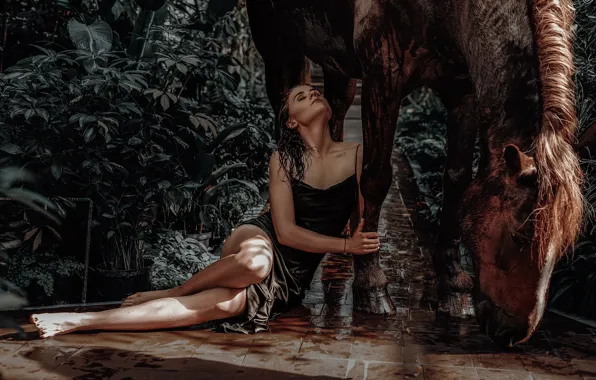 Leaves, water, girl, pose, animal, horse, wet, barefoot