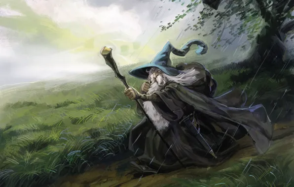 Fantasy, art, The Lord Of The Rings, Gandalf, Gandalf the Grey Study, Enrique Rivera