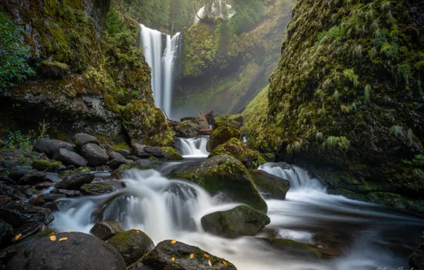 Picture stream, stones, rocks, waterfall, moss, Falls Creek Falls, Falls Creek, Gifford Pinchot National Forest