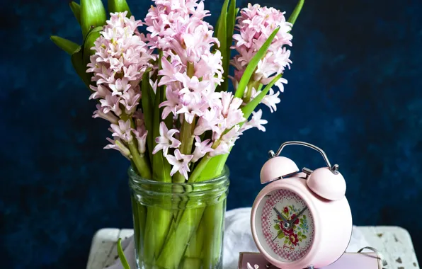 Pink, alarm clock, hyacinth