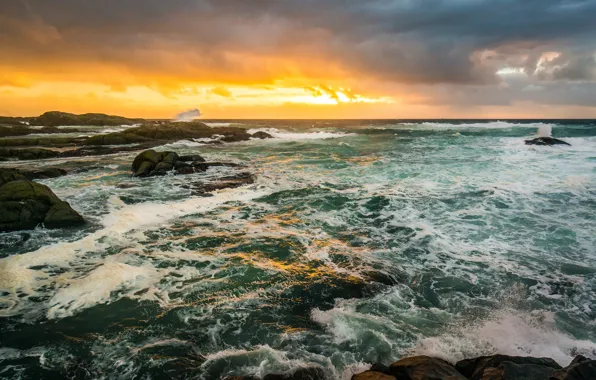 Sea, wave, beach, stones
