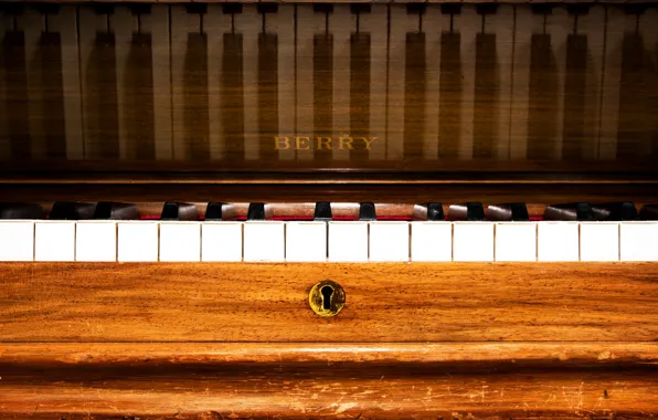Macro, music, piano