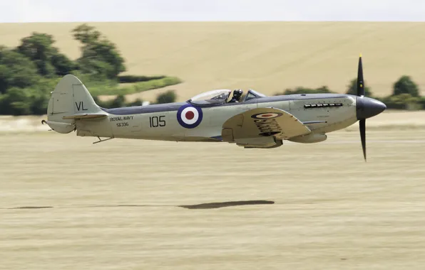 Fighter, the plane, British, deck, during the Second world war, Supermarine Seafire, F.XVII