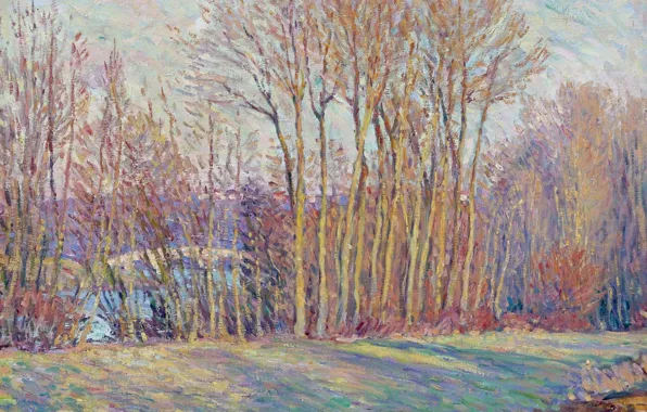 Landscape, picture, Henri Lebacq, Poplars in Autumn near Chalifert
