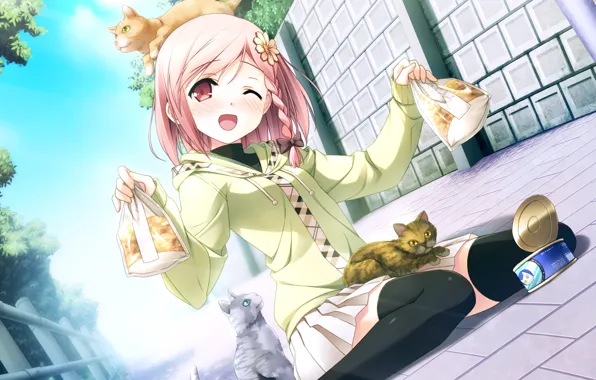 Cats, street, the fence, food, art, wink, pigtail, visual novel
