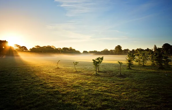 Picture Sunrise, mist, Astley Park