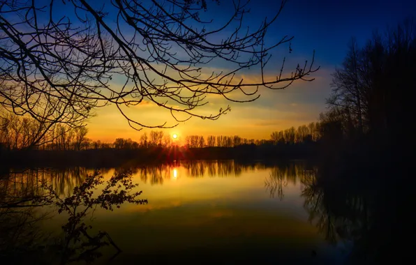 Picture trees, sunset, lake, Germany