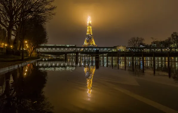 Water, trees, night, bridge, lights, reflection, river, France