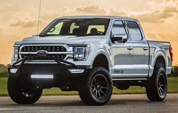 Wallpaper power, pickup, exterior, Hennessey Performance, Ford F-150 ...