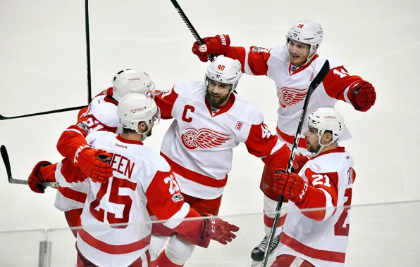 The game, Sport, Ice, Ice, Detroit, NHL, NHL, Hockey