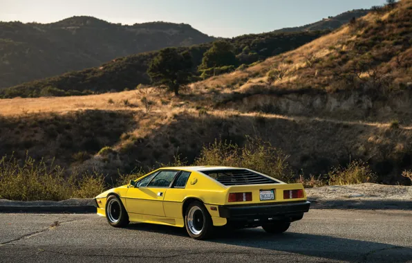 Lotus, Esprit, rear view, Lotus Esprit