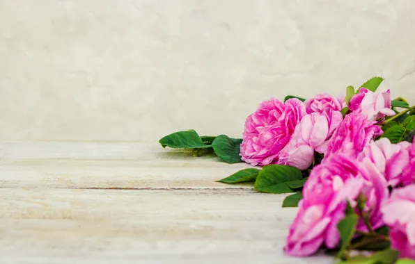 Flowers, roses, petals, pink, wood, pink, flowers, petals