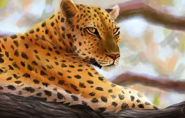 Predator, art, leopard, lying