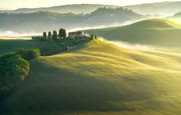 Picture mountains, fog, hills