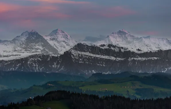 Autumn, forest, the sky, snow, trees, mountains, fog, the slopes