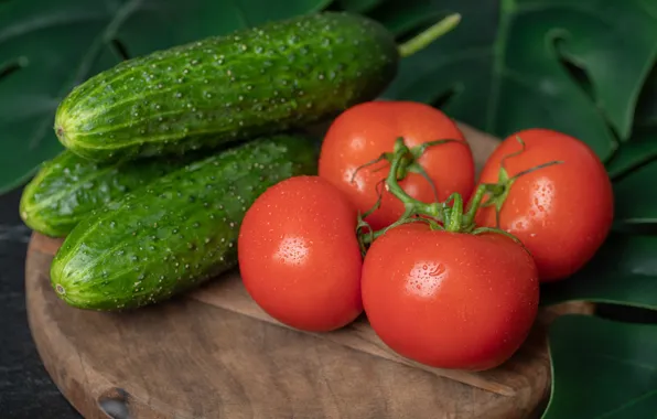 Leaves, tomatoes, cucumbers, monstera