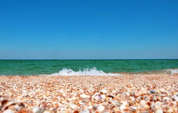 Picture sea, the sky, landscape, nature, shell, shell, Crimea, the sand is made of seashells