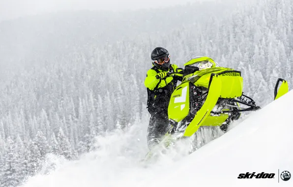 Picture forest, snow, green, snowmobile, snowmobile, Ski Doo