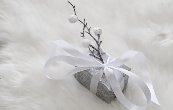 Winter, white, sprig, background, holiday, box, gift, silver
