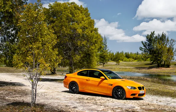 Picture trees, nature, BMW, coupe, bmw m3