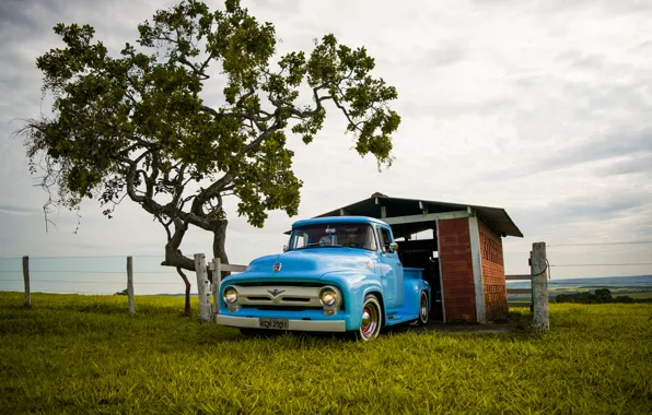 Picture blue, f-100, ford