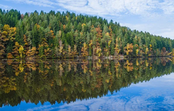 Autumn, forest, trees, lake, reflection, Germany, Bayern
