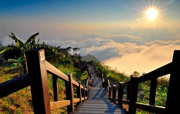 The sun, nature, fog, view, ladder, Landscape