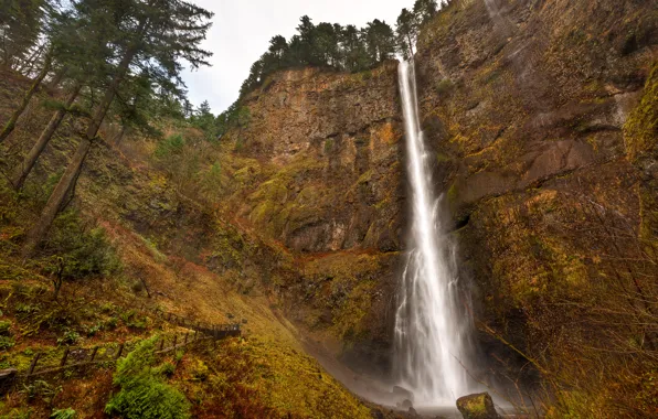Trees, rocks, waterfall, USA, Oregon, Multnomah Falls