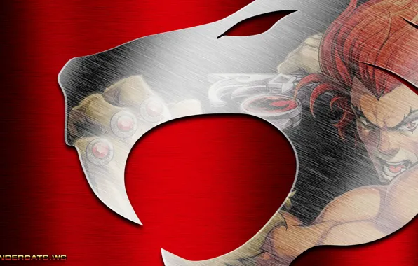 Animation, Cartoon, ThunderCats