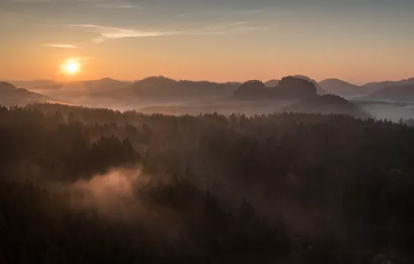 Forest, the sky, the sun, rays, light, mountains, fog, dawn